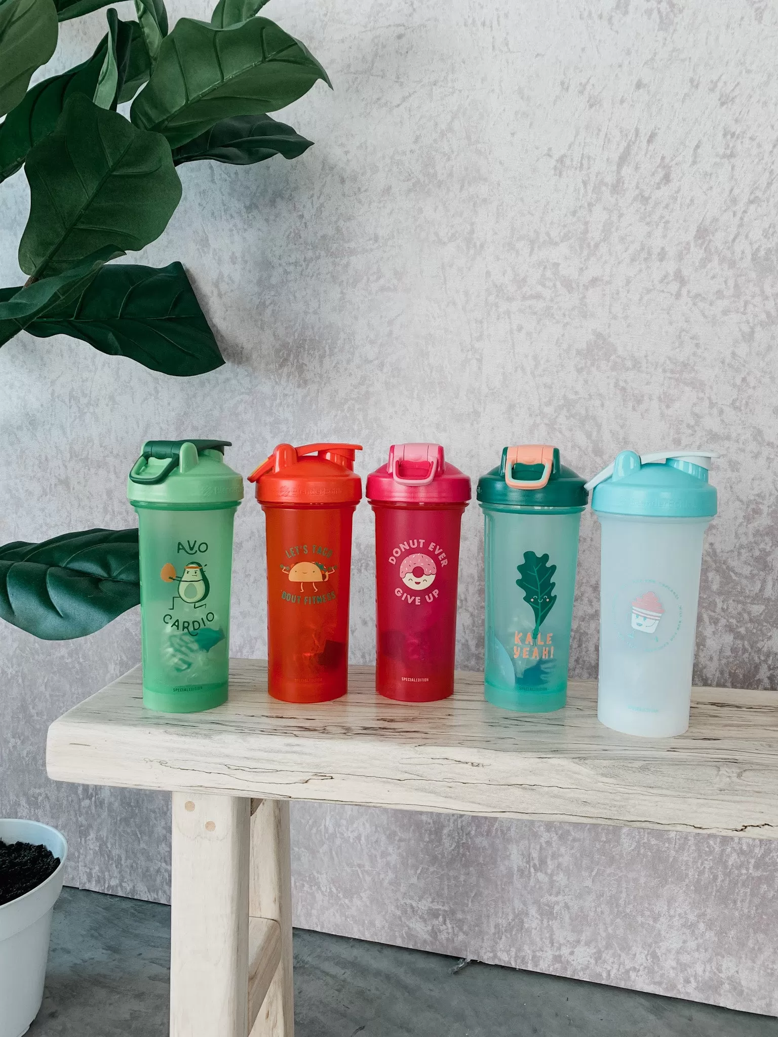 BlenderBottle | Foodie Special Edition FINAL SALE