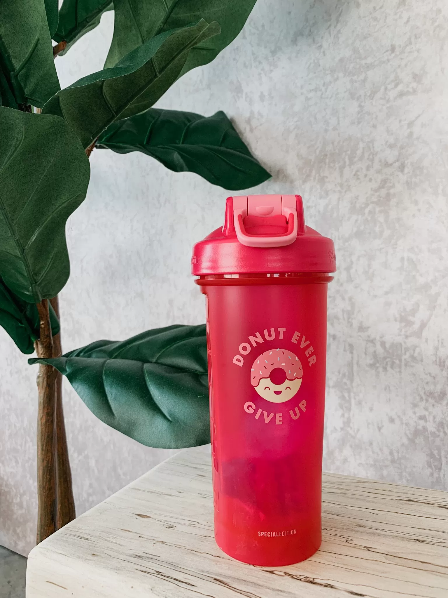 BlenderBottle | Foodie Special Edition FINAL SALE