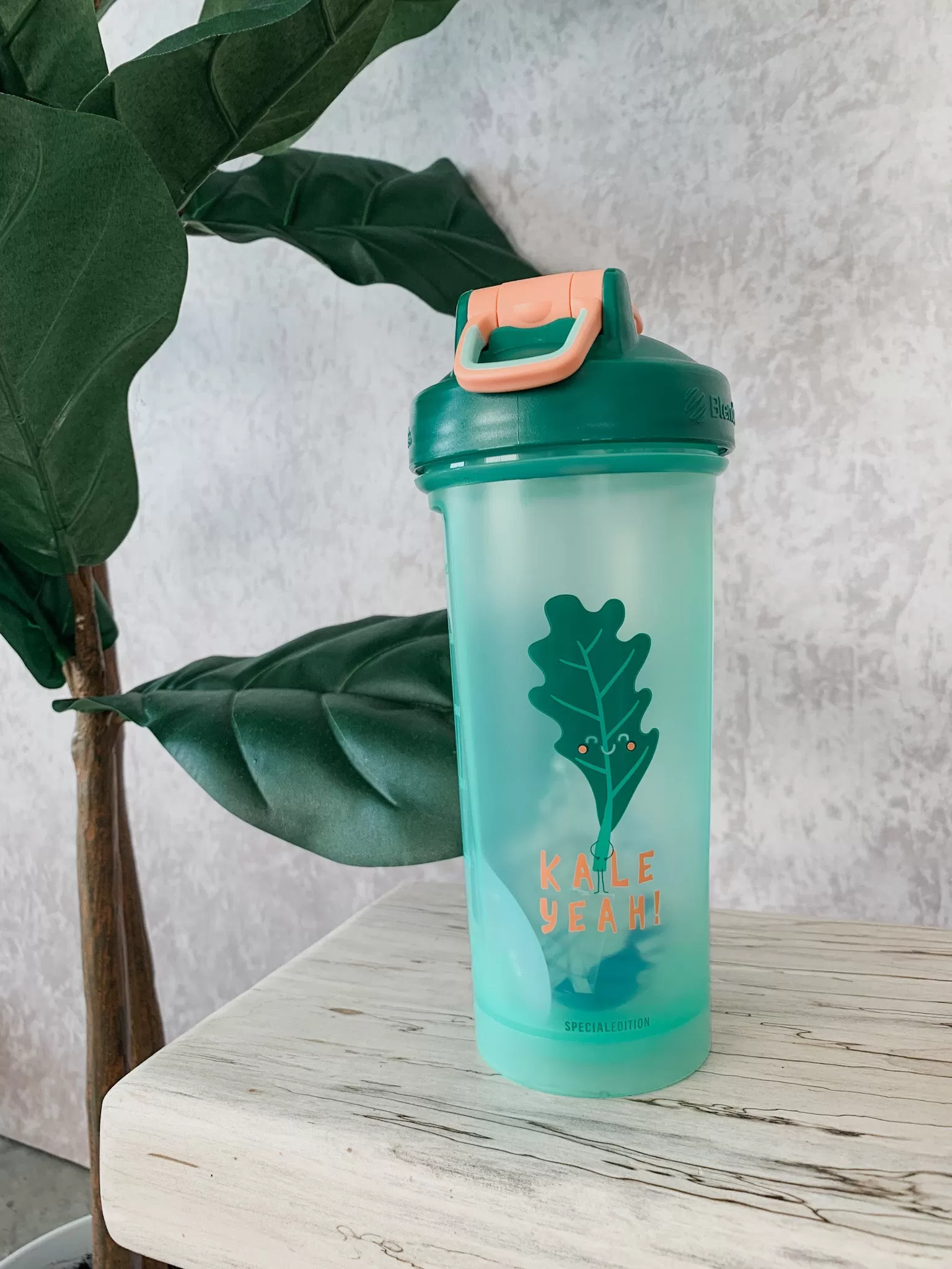 BlenderBottle | Foodie Special Edition FINAL SALE