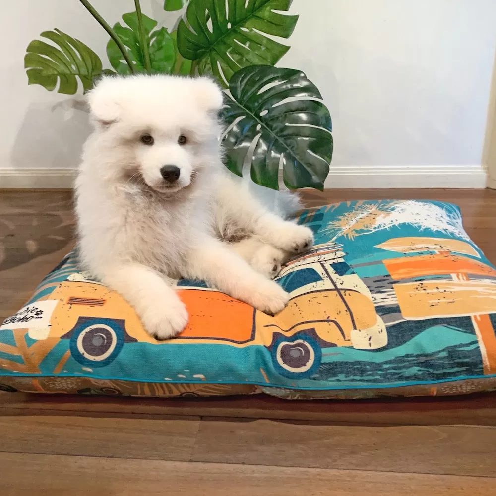 Byron Surf – MEDIUM Pet Bed