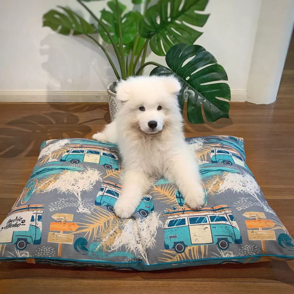 Byron Surf – MEDIUM Pet Bed